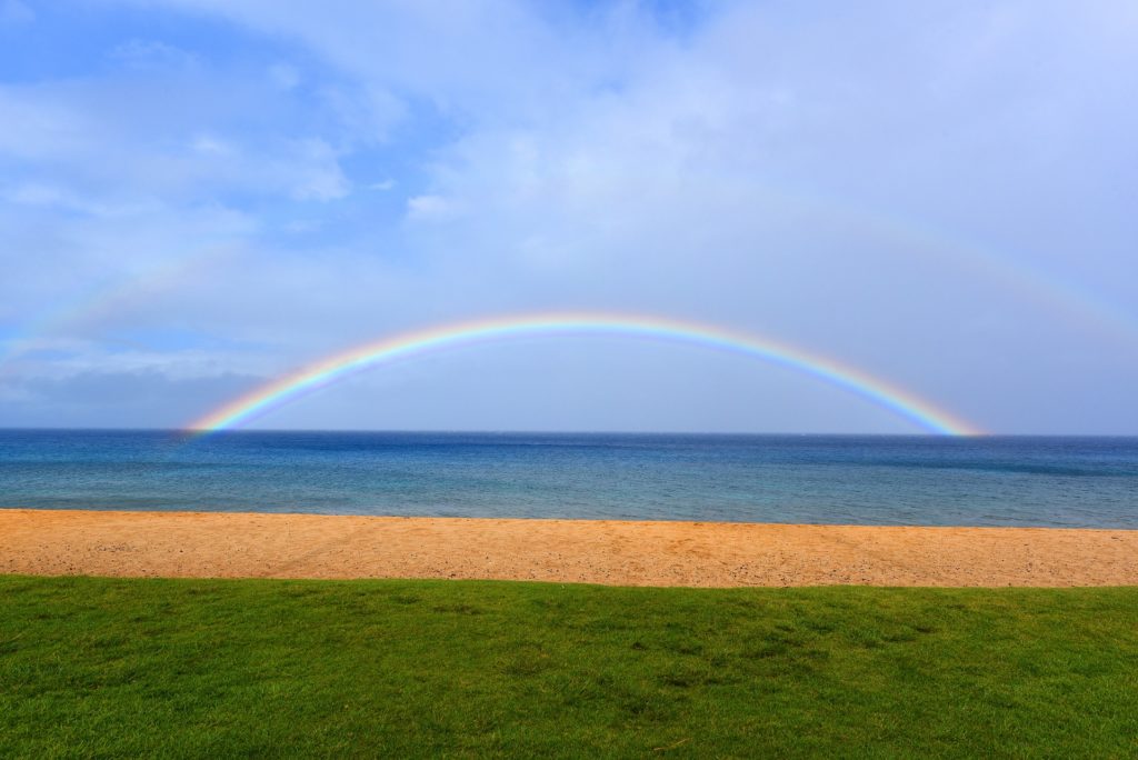 Blue Hawaii Vacation Maui