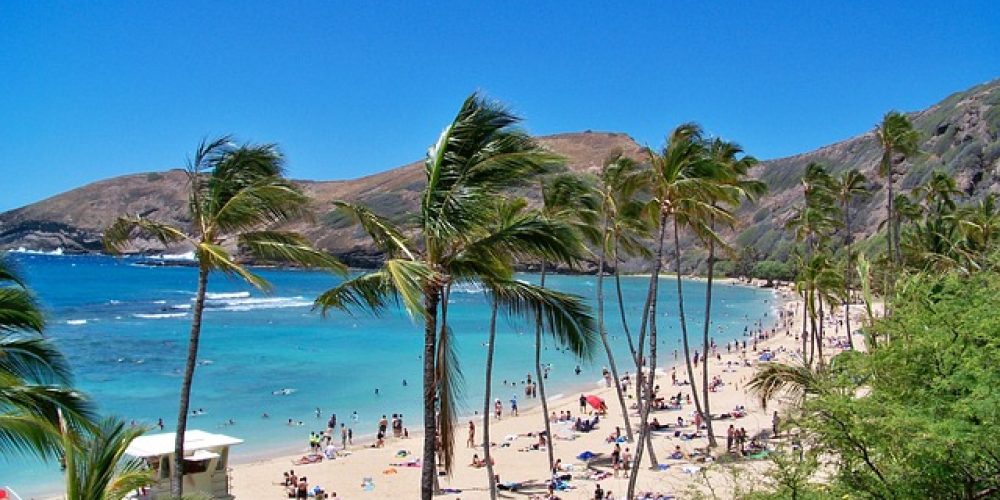 Blue Hawaii Vacation Hanauma Bay